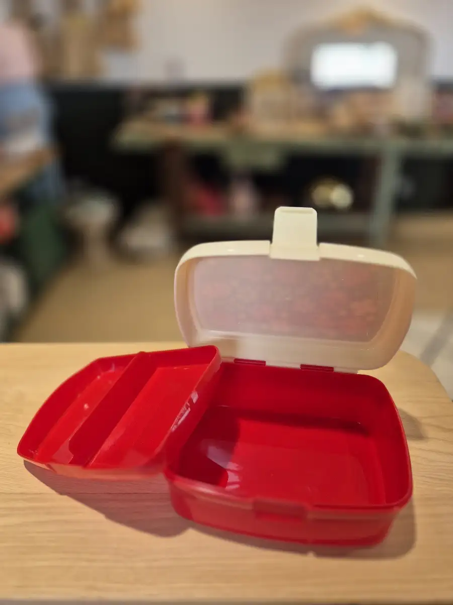 Boite à gouter coccinelle